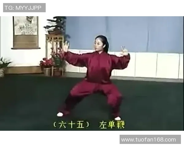 探索孙式太极拳73式的精髓与实用技巧提升身心健康的全面指南