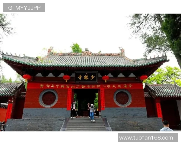 王战军太极拳的传承与创新探索之路与文化价值解析