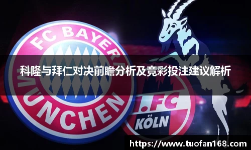 VSport手机网页版登录