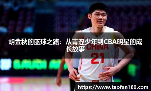 VSport手机网页版登录