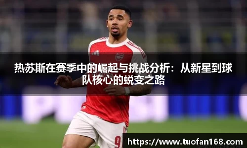 VSport手机网页版登录