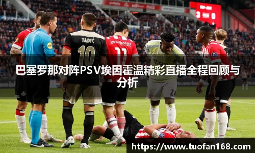 VSport手机网页版登录