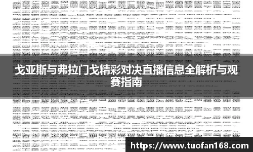 VSport官网入口